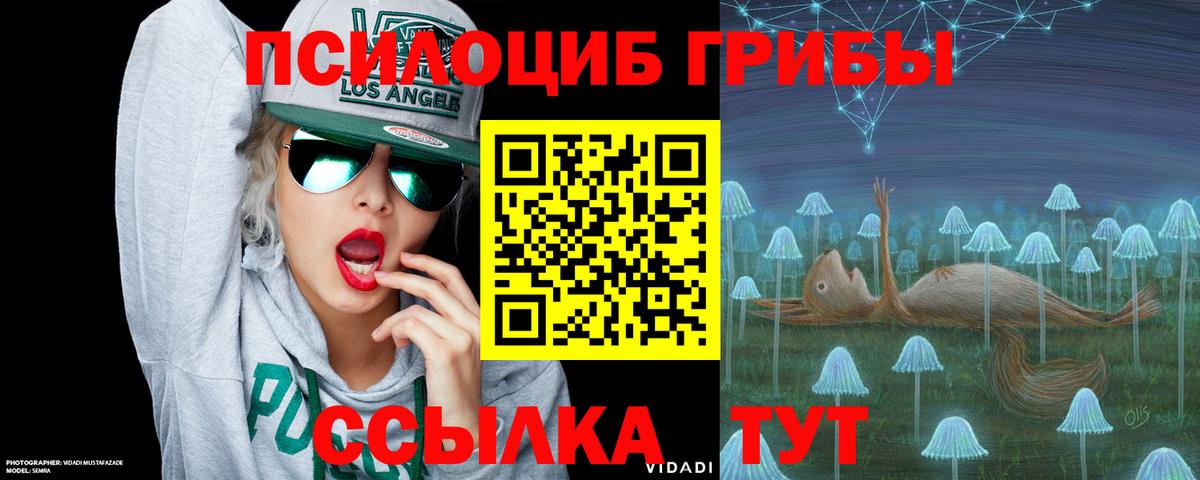 Галлюциногенные грибы Magic Shrooms Костомукша